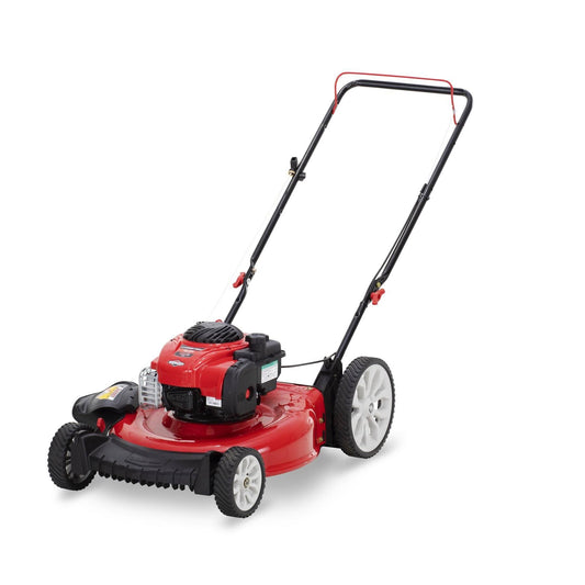 MTD PRODUCTS 21 in. 140cc Push Mower